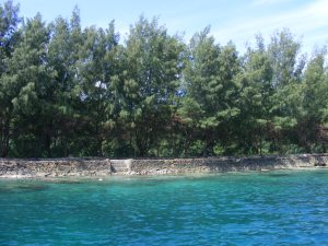 Salah satu sudut pulau Kotok yang disinggahi.